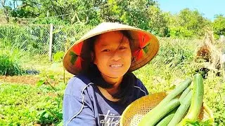 Ra vườn hái mướp về nấu tô  canh cua đồng thơm ngon #food #amthuc #comnha #funny 