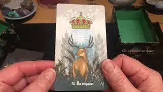 Présentation, review du Meraki tarot : je le découvre avec vous ☺️🤩😍🥰