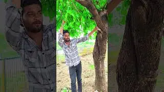 चोरो ने गलत जगह चोरी करली 🤣🤣 #comedy #funny #trending #viralshorts #shorts