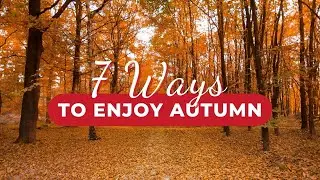 What to do in Autumn in Japan 🍂 7 Best Ways to Enjoy Fall with Autumn Leaves Koyo