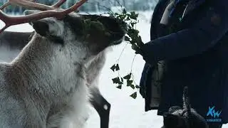 Winter Adventure Holiday in Finland!