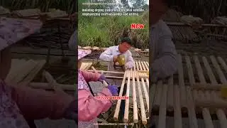 Building Drying Racks 🛠️🌿 Craftsmanship & Utility Highlighted #DryingRacks #Craftsmanship