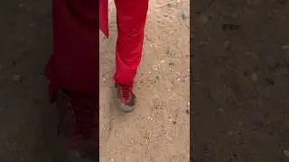 END OF SEE FINISH 🤣🤣🤣🤣 #funny #comedy #comedyskits #protest #funnybros@Funnybroscomedy