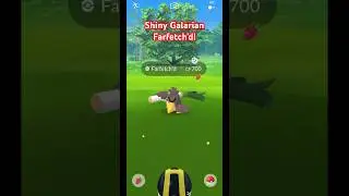Shiny Galarian Farfetch&rsquo;d in Pok&eacute;mon Go! #pokemongo
