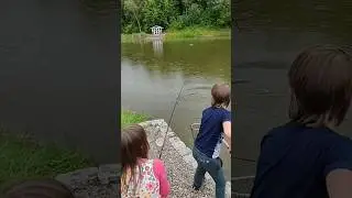 Carp fishing with the kids | fisker karper med ungerne 🎣 #fishing #carpfishing