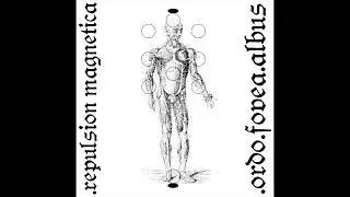REPULSION MAGNETICA - 