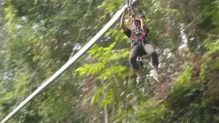 Jungle Flight Zipline Rollercoaster