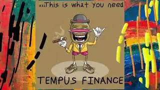 Tempus Finance Goerli Testnet. (Темпус Тестнет)