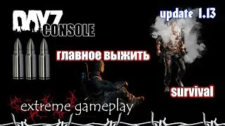 DayZ console, update 1.13, 4k