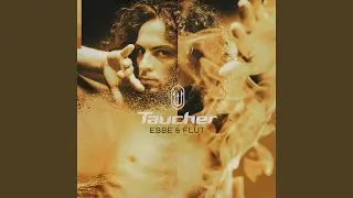 T-Factor