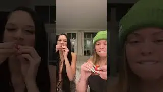 Латто и Брук пробуют фруктовые рулетики с мороженым 🍎🍦