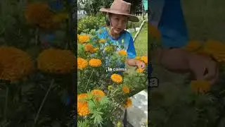 Te relaja cuidar tus jardin  #hidroponia #bienestar #cultivatusalimentos #terapiaverde