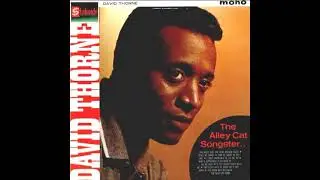 David Thorne - Don't let it get away