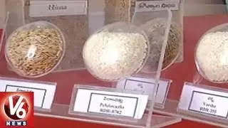 Special Story On Prof. Jayashankar Agricultural University's Seeds Mela | Karimnagar | V6 News