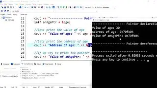 C++ 30: Declaring and dereferencing a pointer