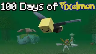 Flying with an ELYTRA on the 100 Days of Minecraft Pixelmon World