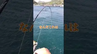 亀の手を餌にしたらあり得ない大物が釣れた