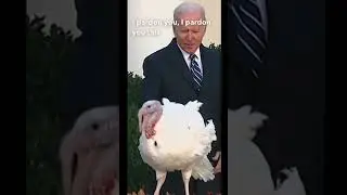 Turkey was forgiven  by the USA President #joebiden