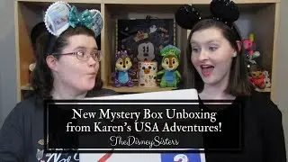 New Mystery Box Unboxing from Karens USA Adventures! - TheDisneySisters
