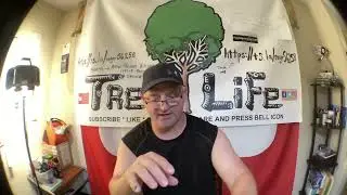 VISTA PRINT MAGNETIC FRIDGE MAGNET BUSINESS CARDS / UNBOXING / REVIEW / ROGER WALDMAN /TREE LIFE 1