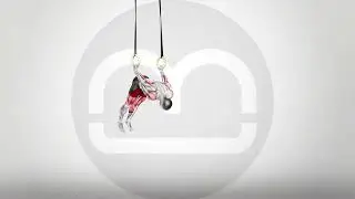 Ring Skin the Cat