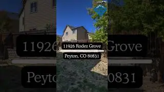 An Aerial Look at 11926 Rodez Grove | Shot by Air Photography Co