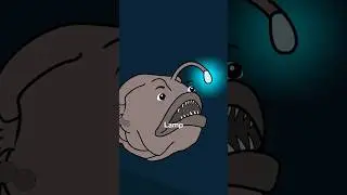 Why it sucks to be born as an Anglerfish (Credit: @Junglecore92)