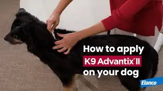 How to Apply K9 Advantix&reg; II to Your Dog