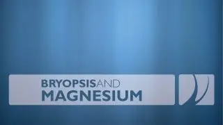 Get Rid of Bryopsis with Magnesium Supplement