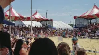 Orange county fair 2017