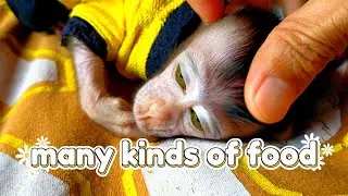 many kinds of food .#viral #trending #viralvideo #viralvideos #trendingvideo