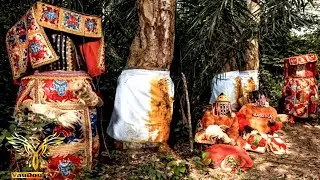 Rituel Egun-gun : Danse Ancestrale Béninoise