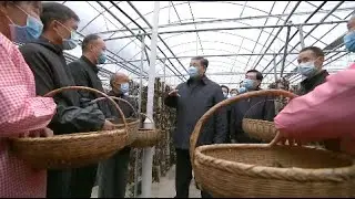 Xi Urges Officials to be Guardians of Qinling Mountains Ecology, Environment