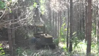 Raleo Pino - Harvester Ecolog 580D + Logmax 6000B