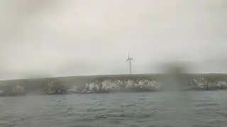 Orkney 3 islands roundtrip by passenger boat