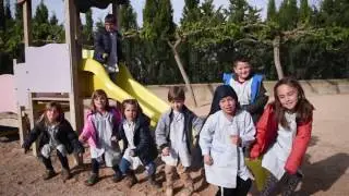 P5   curs 2015 16   Escola Jaume I