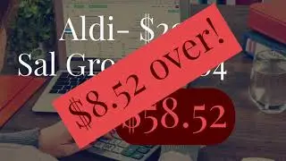 Weekly Grocery Haul || Salvage Store || Aldi