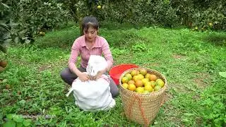 China Girl Daily Routine vlog village agriculture work vlog Daily Routine vlog village 
