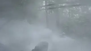 Christmas Whiteout on Hemlock 1, Bear Brook State Park