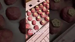 Premium Freeze-Dried Duck Breast & Okra &mdash; Natural Nutrition in Every Bite