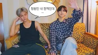 야옹즈 모먼트 모음집 🐱 | 제이 정원 | 엔하이픈