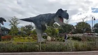Niagara - Fun with Friends