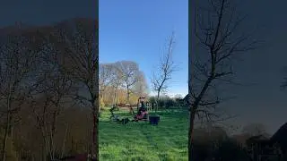 Large tree planting - 350L pot!!!