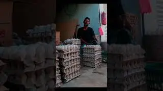 #short - timelapse susun telur itik bebek #duckegg #telurbebek