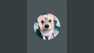 Kaya the Klee is live!