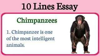 10 lines essay on chimpanzee in english !! Short essay on Chimpanzee !! sentences on chimpanzee