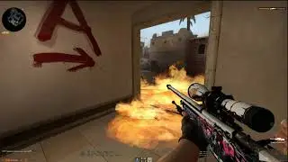 New NAVI players