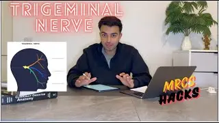 The Trigeminal Nerve - The 5th Cranial Nerve (V) | MRCS Hacks