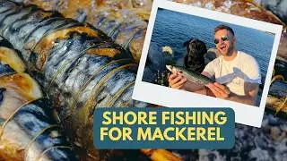 Mackerel Fishing UK Catch & Cook | Shore Fishing for Food UK / GUERNSEY