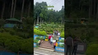 Darjeeling                 #lamahatta #darjeelingtrip